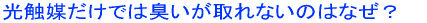 ���G�}���Ȃ��L���Ȃ�
