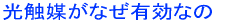 ���G�}���Ȃ��L���Ȃ�